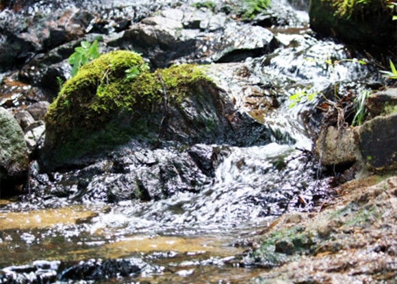 水へのこだわり